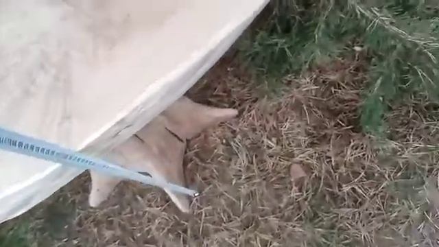 Стол из массива дерева. Садовая мебель смотреть онлайн