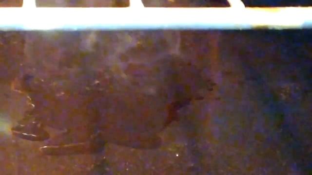 Рецепт мяса в банке в духовке в собственном соку смотреть онлайн