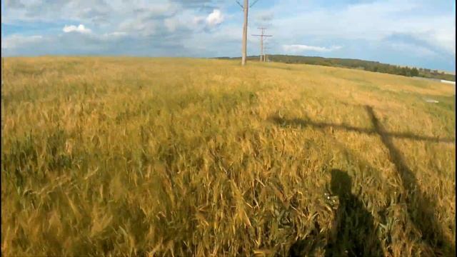 Поездка на Ульяновский пруд. Поиск места под лагерь для рыбалки. смотреть онлайн