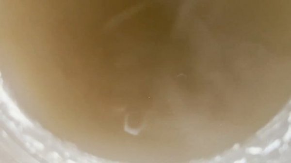 Замена магниевого анода на бойлере Viessmann Vitocell 100, 200л