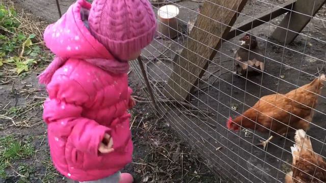 1 год и 7 месяцев /4 смотреть онлайн