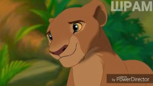 Король лев прикол - Отдых в Европе