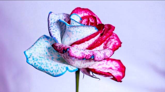 7 EASY CRAFT IDEAS | SIMPLE THINGS YOU CAN MAKE BY YOURSELF