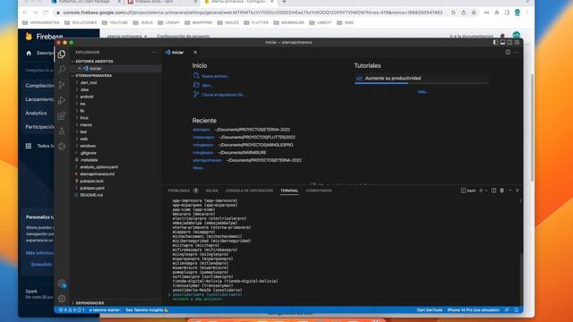 Configuracion Firebase y Flutter con flutterfire CLI y Get CLI 2022 смотреть онлайн