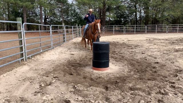 Develop the Feedback Loop in Horsemanship Level 4 смотреть онлайн