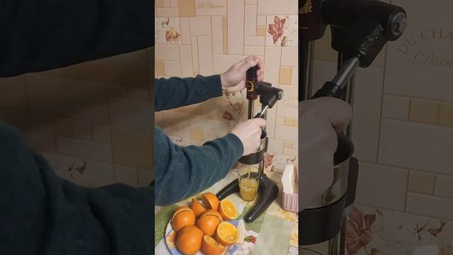 Соковыжималка пресс для цитрусовых смотреть онлайн