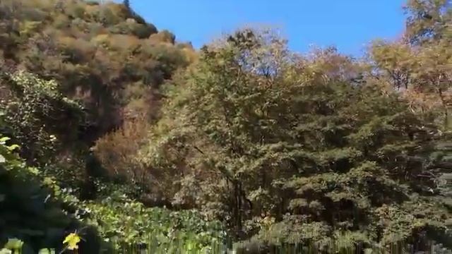 голубое озеро Абхазия смотреть онлайн