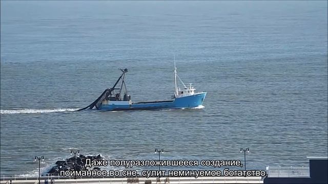 К чему снится рыба? Толкование сна и его значение по сонникам Ванги и Миллера смотреть онлайн