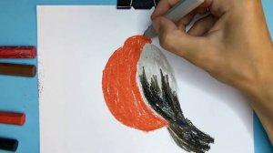 Как нарисовать снегиря / Снегирь / Рисунки для детей