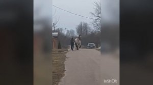 цыганские лошади г,курск