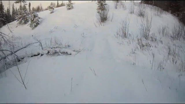 14 февраля 2024 г.