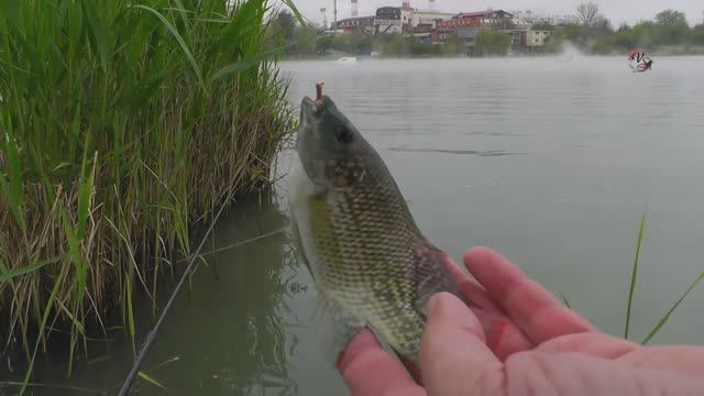 Мой Поплавок с Кивком собственной конструкции, Схема Fishing angeln la pesca câu cá 钓鱼 рыбалка (2) смотреть онлайн
