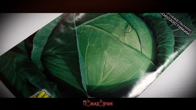 Семена Капуста Амагер - Помидорчик смотреть онлайн