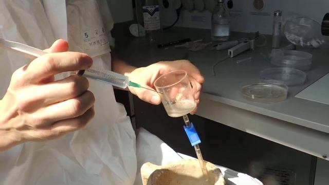 Извлечение эмбрионов, кратковременное хранение эмбрионов. смотреть онлайн