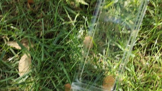 Поезд Астана Шымкент. Нашел хостел в Шымкенте