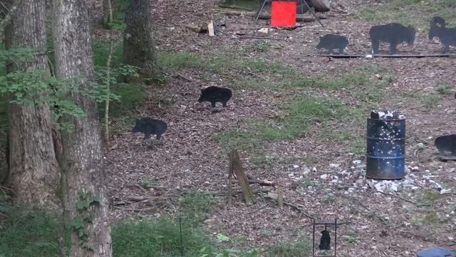 WWI 1911 Big Game Hunt