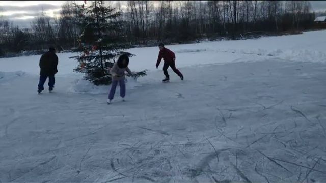 У деда в деревне. 1 января 2020. (Сандогора) смотреть онлайн