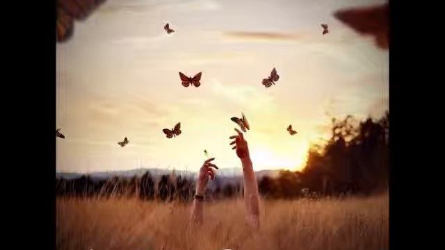 Ann-Без суеты.