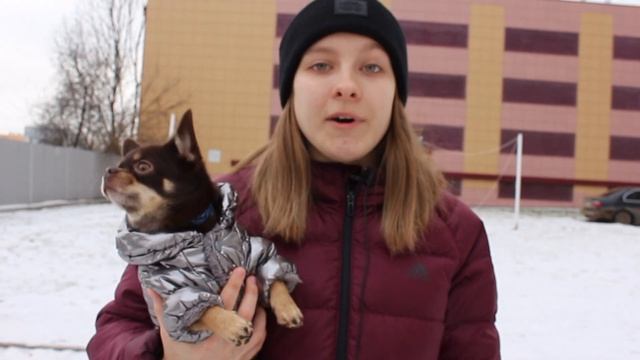 Почему НЕ стоит заводить собаку смотреть онлайн