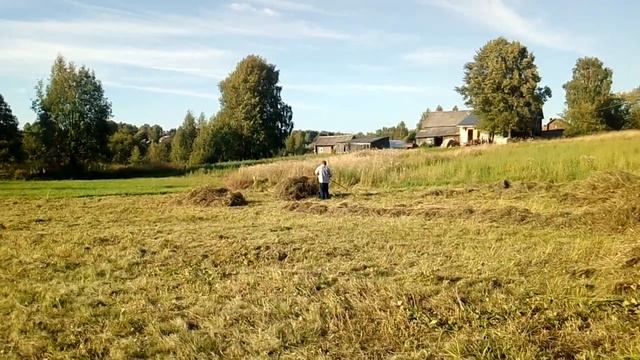 Убираем последнее сено.Приехал армейский друг мужа.Муж попал в больницу. смотреть онлайн