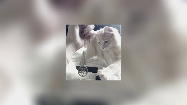 мот – она не твоя (speed up) смотреть онлайн