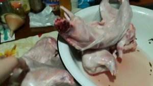 ВЕС В 90 ДНЕЙ ТУШКИ КАЛИФОРНИЙСКОГО КРОЛИКА