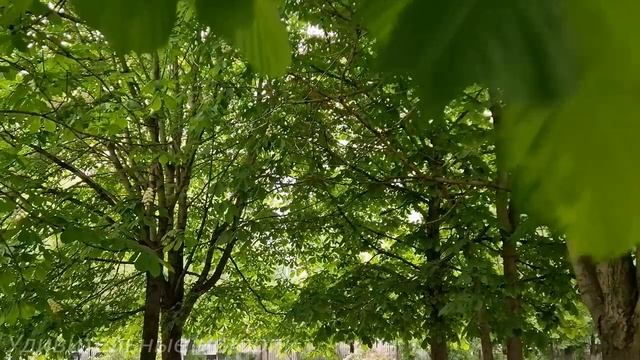 На семейном юбилее мужу прислали фотографии жены с другим мужчиной. Виктор решил проследить и... смотреть онлайн