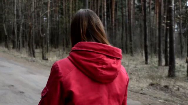 Хацяноўская А , Палішчук Д , 10 А клас, СШ №40 г Віцебска смотреть онлайн