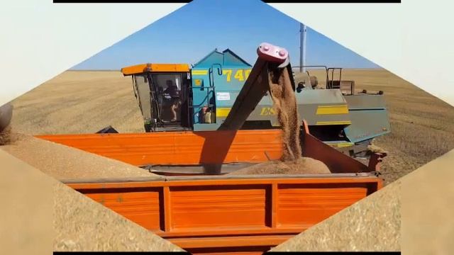 Поздравление С Днем работников сельского хозяйства смотреть онлайн