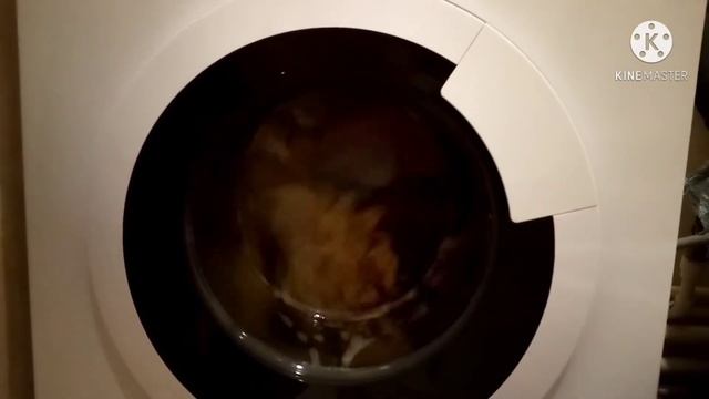 Gorenje whe 72 s3|Cottons Eco|800 rpm 60°C смотреть онлайн
