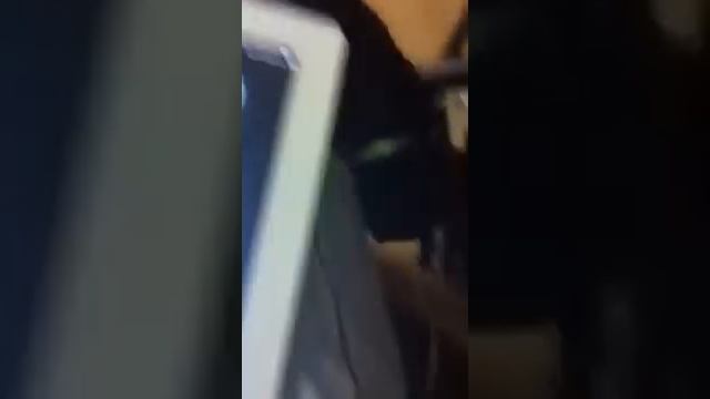 Human to cat translator app смотреть онлайн