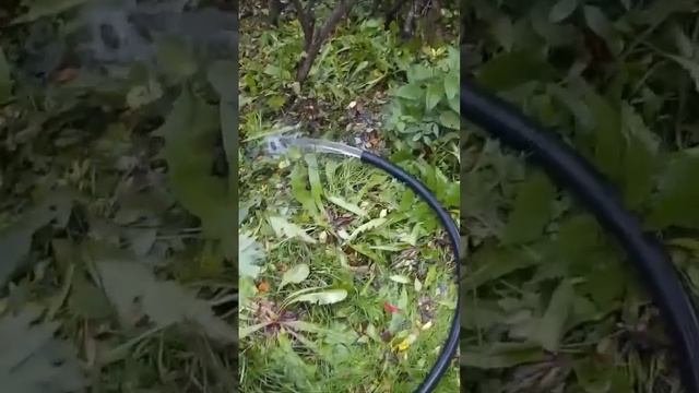 Уборка бассейна. Слив воды с помощью насоса смотреть онлайн