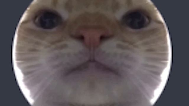 Я угадаю твой возраст... смотреть онлайн