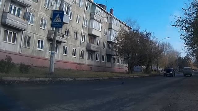 Голубь суицидник. Голубь самоубийца. Жесть. Смотреть всем. Почему гибнут птицы. смотреть онлайн
