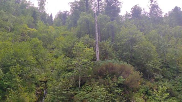 Привал у горной реки Солзан, вблизи чертова пальца. Хамар-Дабан. Байкальск. #baykal #family_okishev смотреть онлайн