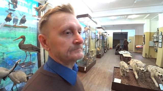 20171019-Выставка 'Восьминогие охотники' отправляется в турне. Кемеровский краеведческий музей смотреть онлайн