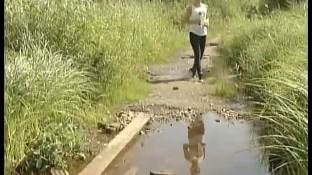 Многодетным семьям, нуждающимся в улучшении жилищных условий, выдали участки на болоте смотреть онлайн