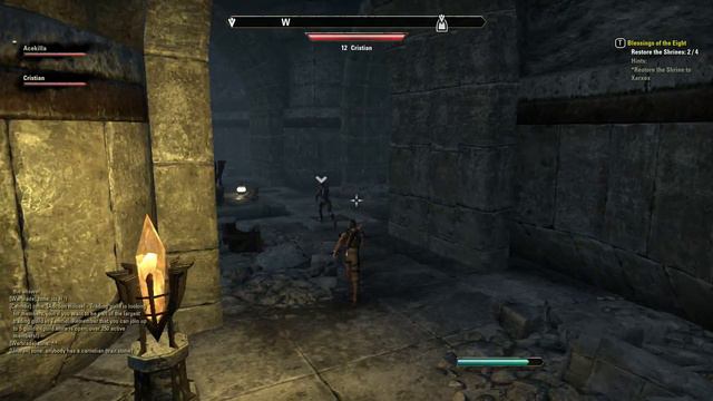 Elder Scrolls Online Blessing Of The Eight Quest Restore The Shrines 1 смотреть онлайн