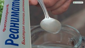 Реаниматор – скорая помощь для вашего сада