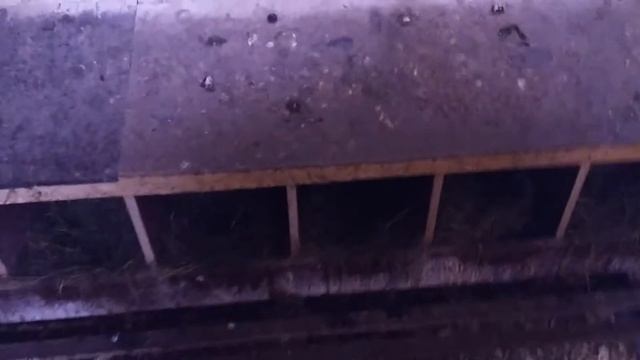 Мой курятник гнезда для кур смотреть онлайн