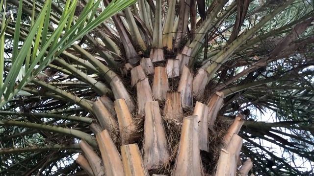 ?? Отказался от 