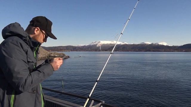 В Норвегии карантин, все на рыбалке. Атлантическая дорога, пикник и рыбалка. Норвегия. Рыбалка. смотреть онлайн