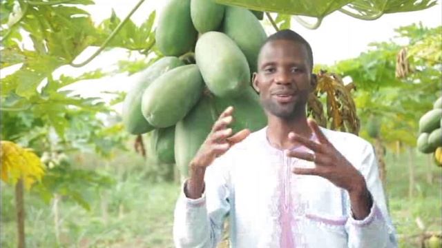 Le lauréat du Prix "Jeune entrepreneur(e) francophone" - 1re position: BIO PHYTO COLLINES смотреть онлайн