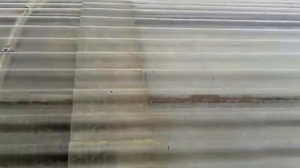 теплица, вместо плёнки: гибкий-прозрачный шифер