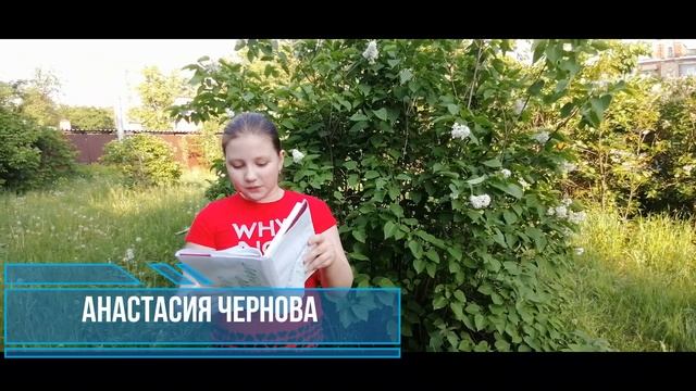 Поэтические строки о лете. смотреть онлайн