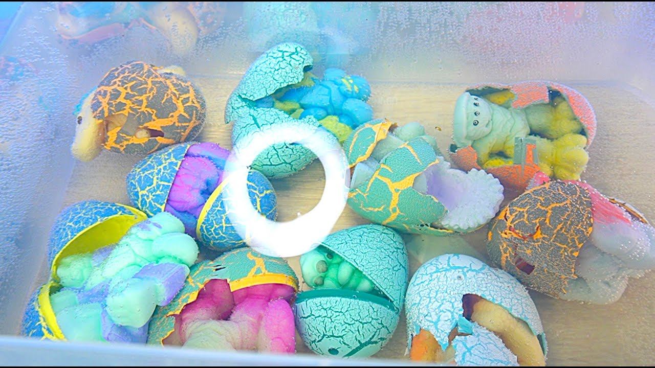 ЯЙЦА МОНСТРОВ РАСТУЩИЕ В ВОДЕ смотреть онлайн