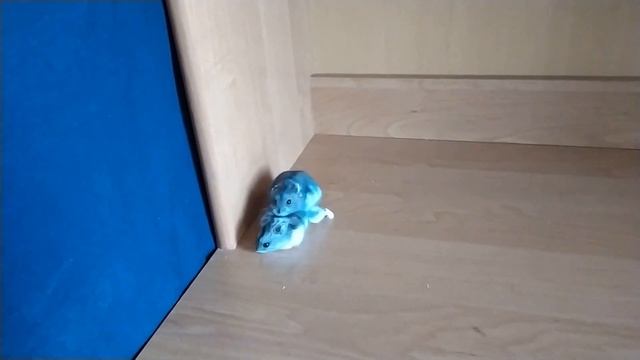 Как спариваются джунгарские хомяки смотреть онлайн