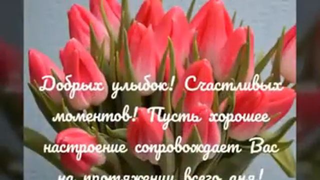 Пусть счастье будет там, где Вы 10217 (0.37) смотреть онлайн