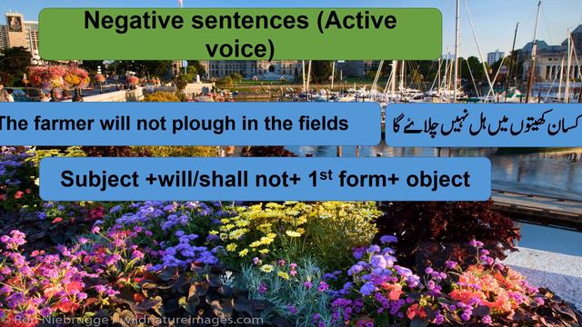 Future Indefinite Tense, Future Simple Future Tense, Active and Passive voice смотреть онлайн