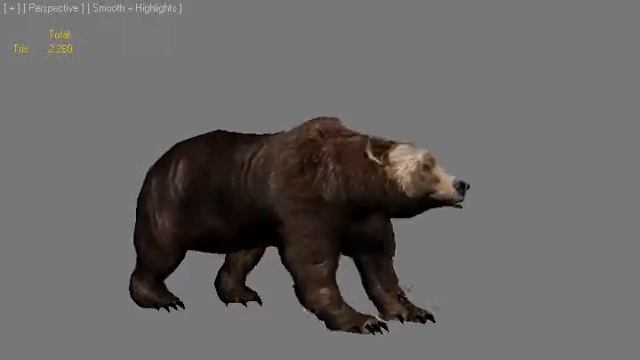 Evolution: Indian Hunter: Grizzly Attack | Scorpius Forge смотреть онлайн